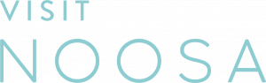 VN Logo
